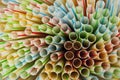 Straws Royalty Free Stock Photo