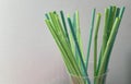 Straws in a glass. Close-up of blue and green plastic straw collection on light background. Colorful tubes Royalty Free Stock Photo