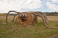 Strawy spider in autumn countryside