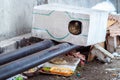 Stray animals in winter, homeless cat sitting on a heating main, homeless frozen cat warms on pipes, people making a house out of