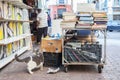 Stray cat eating near second hand books at the Athens flea market of Monastiraki