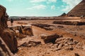 Stray dog looking at the camera in the foreground, great pyramids of giza in the distance. A man on a camel approaches from the Royalty Free Stock Photo