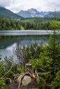 Strbske pleso area, Slovakia, seasonal natural scene Royalty Free Stock Photo