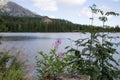 Strbske Pleso Mountain Tarn in High Tatras Mountains. Slovakia Royalty Free Stock Photo