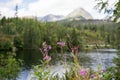 Strbske Pleso Mountain Tarn in High Tatras Mountains. Slovakia Royalty Free Stock Photo