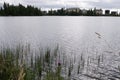 Strbske Pleso Mountain Tarn in High Tatras Mountains. Slovakia Royalty Free Stock Photo