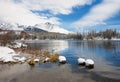 Strbske Pleso winter lake in the high Tatras, Slovakia Royalty Free Stock Photo