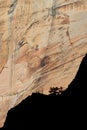 The Streaked Wall from the Sand Bench Trail, Zion National Park, Utah