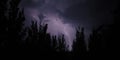 Streaks of bright lightening bolts rip through the purple night sky on a city street with a silhouette of a tree. Lightning Royalty Free Stock Photo