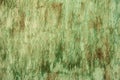 Streaks and patches of green paint and rust stains on the old metal surface. Royalty Free Stock Photo