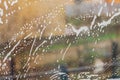 Streaks of water and soap foam on the window pane. The concept of cleaning and washing home windows Royalty Free Stock Photo