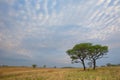 Streaky clouds over Ezemvelo Royalty Free Stock Photo