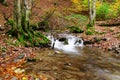 Stream in autumn beech forest Royalty Free Stock Photo