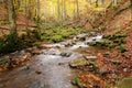 Stream in autumn beech forest Royalty Free Stock Photo
