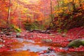 Stream in autumn beech forest Royalty Free Stock Photo