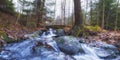 stream in the autumn deep forest