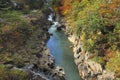 Stream and Autumn leaf color