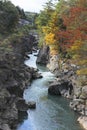 Stream and Autumn leaf color