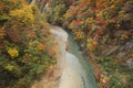 Stream and Autumn leaf color Royalty Free Stock Photo
