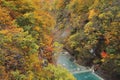 Stream and Autumn leaf color