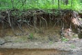 Stream Bank Erosion Royalty Free Stock Photo