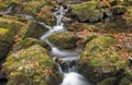 The stream below Dickson Falls in Fundy National Park, New Brunswick, Canada, in autumn.