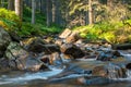 Clean water of river Prut flows fast in the the Carpathians Royalty Free Stock Photo