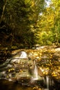 Stream cascading through a forest at Ricketts Glen State Park in Pennsylvania, USA