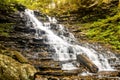 Stream cascading through a forest at Ricketts Glen State Park in Pennsylvania, USA