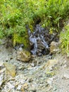 Stream with clear transparent water in the mountains. Water source. Mineral water.