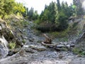 Stream with clear transparent water in the mountains. Water source. Mineral water