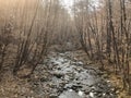 Stream creek in burned mountain area