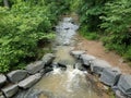 Stream or creek in the forest or woods with rocks Royalty Free Stock Photo