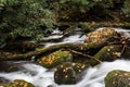 Stream with curved log deadfall, swift water, autumn leaves