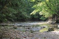 Stream in Cuyahoga Valley National Park Royalty Free Stock Photo