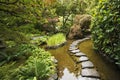 A stream and a decorative path from stones