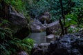 Stream deep on jungle hike Royalty Free Stock Photo