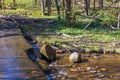 Stream with falling water at a rock slate in a spring woodland Royalty Free Stock Photo