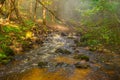 Stream flow through stones Royalty Free Stock Photo