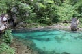 Stream flowing through the Blejski vintgar gorge in the forest, Slovenia