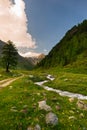 Stream flowing through blooming alpine meadow Royalty Free Stock Photo