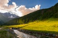 Stream flowing through blooming alpine meadow Royalty Free Stock Photo