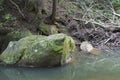 Stream flowing by boulders