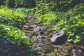 Stream flowing down from high mountains in Tatras Royalty Free Stock Photo