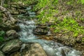 Stream flowing down the mountain Royalty Free Stock Photo