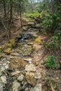 Stream flowing down a mountainside Royalty Free Stock Photo