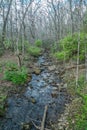 Stream flowing downhill in the forest