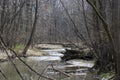 Stream flowing through the forest in early spring