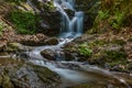 Stream flowing through the forest Royalty Free Stock Photo