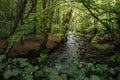 Stream flowing through Gore Glen in Midlothian Royalty Free Stock Photo